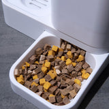 Automatic Cat and Dog Feeder With Water Dispenser