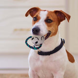 Ghost Calming Dog Companion Toy