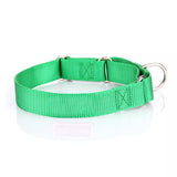 Standard Nylon Dog Collar