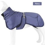 Labrador Winter Jacket For Large Dogs