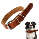Handmade Brown Leather Dog Collar