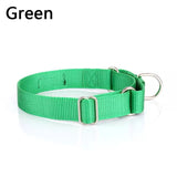 Standard Nylon Dog Collar