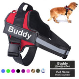Customizable Dog Harness For Multi-Purpose Information
