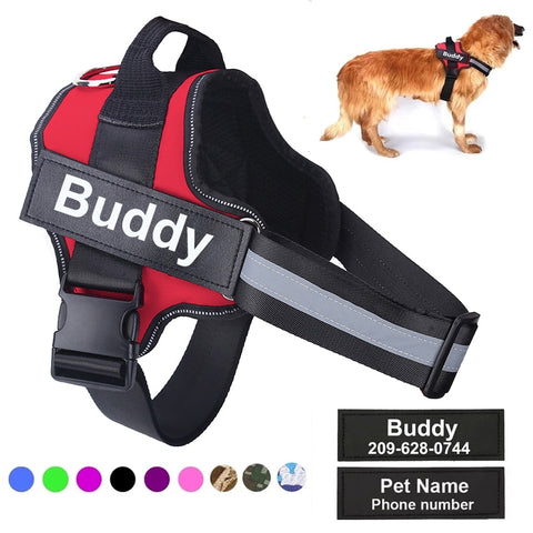 Customizable Dog Harness For Multi-Purpose Information