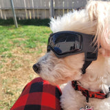 UV Protection Dog Sunglass Goggles For Small-Medium Dogs