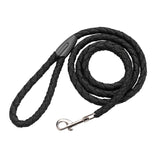 Dual Nylon Dog Leash