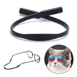 Fashion Sunglasses For Dogs and Cats