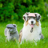 Outdoor Dog Baseball Hat With Ear Holes