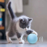 Smart Cat Interactive Ball Toy With Animal Sounds