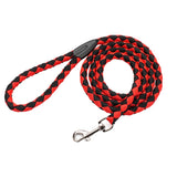 Dual Nylon Dog Leash