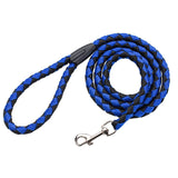 Dual Nylon Dog Leash