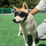UV Protection Dog Sunglass Goggles For Small-Medium Dogs