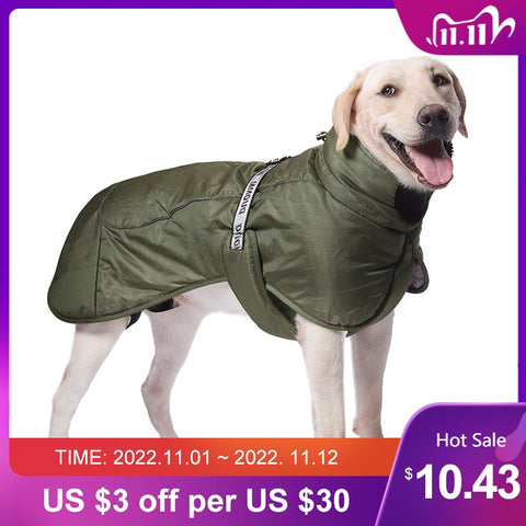 Labrador Winter Jacket For Large Dogs