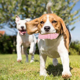 Bite Resistant Toy For Aggressive Dog Chewers and Large Dogs