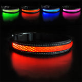 Glowing Dog Collar Anti-lost LED and Rechargeable