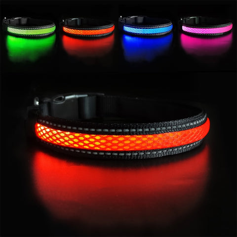 Glowing Dog Collar Anti-lost LED and Rechargeable