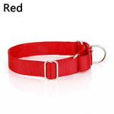 Standard Nylon Dog Collar