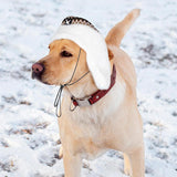 Dog Winter Hat With Adjustable Strings