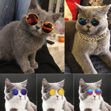 Fashion Sunglasses For Dogs and Cats