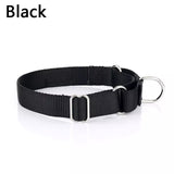 Standard Nylon Dog Collar