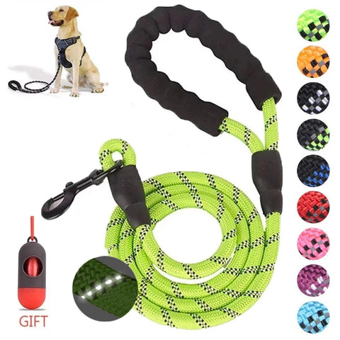 Nylon Rope Dog Leash Pet Leash 1.5M Long
