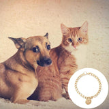 Cat Chain Collar With Bell Fashion Design