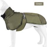 Labrador Winter Jacket For Large Dogs