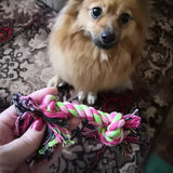 Dog Rope Toys for Large Bites and Interactive Play