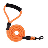 Dual Nylon Dog Leash