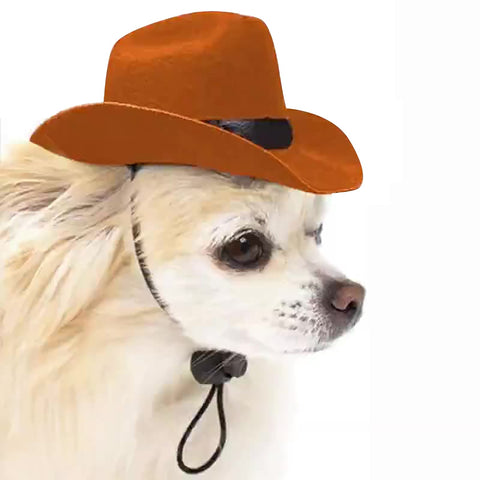 Polyester Cowboy Dog Hat With Adjustable String