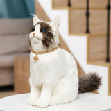 Cat Chain Collar With Bell Fashion Design