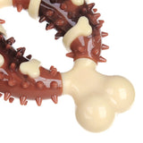 Teeth Cleaning Dog Toy Ring