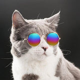 Fashion Sunglasses For Dogs and Cats