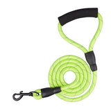 Dual Nylon Dog Leash