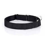Standard Nylon Dog Collar