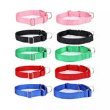 Standard Nylon Dog Collar