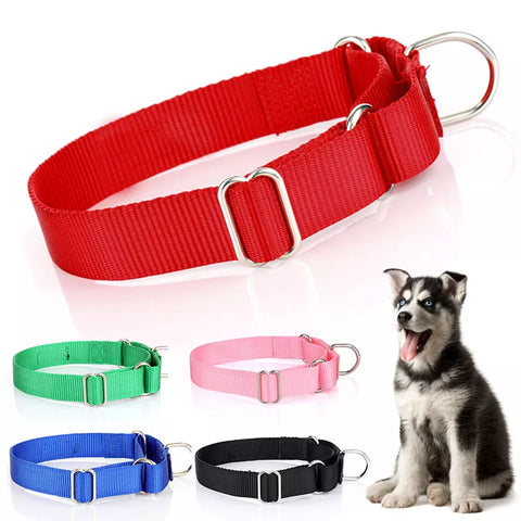 Standard Nylon Dog Collar