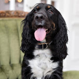 Handmade Brown Leather Dog Collar