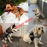 Customizable Dog Harness For Multi-Purpose Information